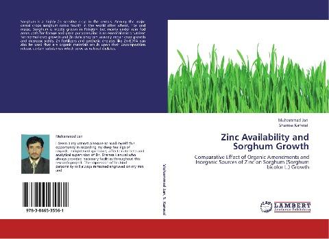 Zinc Availability and Sorghum Growth
