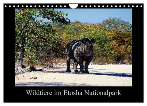 Wildtiere im Etosha Nationalpark (Wandkalender 2026 DIN A4 quer), CALVENDO Monatskalender