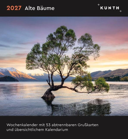 Alte Bäume - KUNTH Postkartenkalender 2027