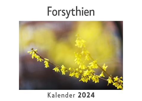 Forsythien (Wandkalender 2024, Kalender DIN A4 quer, Monatskalender im Querformat mit Kalendarium, Das perfekte Geschenk)