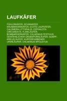 Laufkäfer