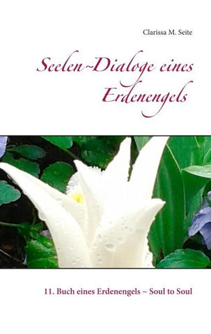 Seelen-Dialoge eines Erdenengels
