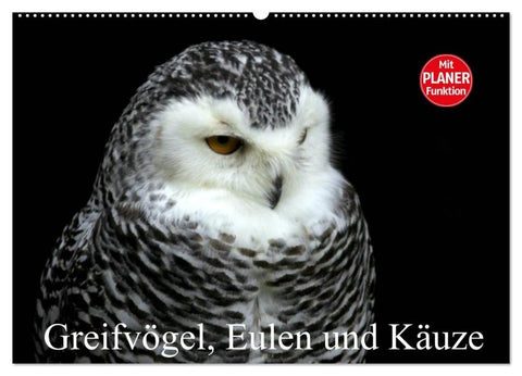 Greifvögel, Eulen und Käuze (Wandkalender 2026 DIN A2 quer), CALVENDO Monatskalender