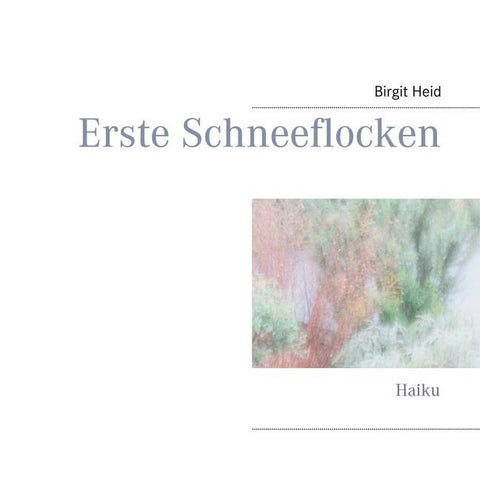 Erste Schneeflocken