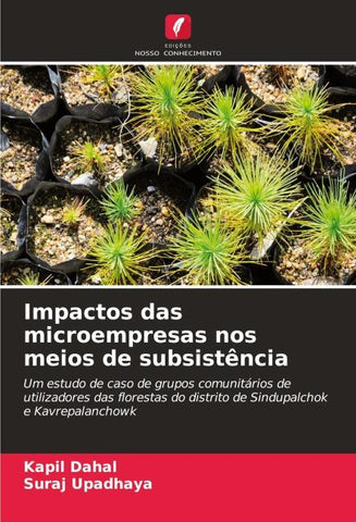 Impactos das microempresas nos meios de subsistência