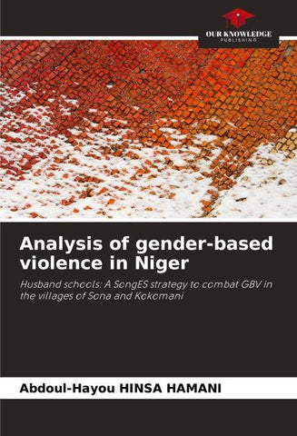 Analysis of gender-based violence in Niger