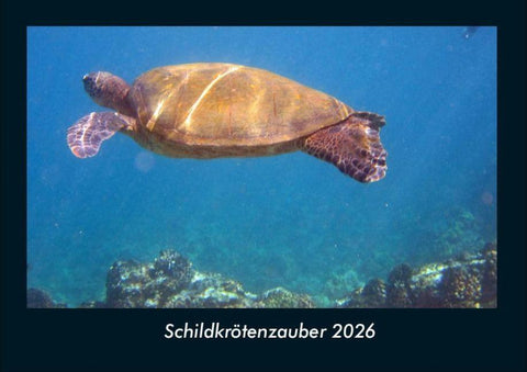 Schildkrötenzauber 2026 Fotokalender DIN A4
