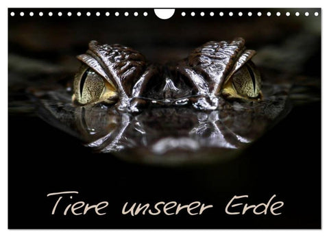 Tiere unserer Erde (Wandkalender 2026 DIN A4 quer), CALVENDO Monatskalender
