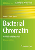 Bacterial Chromatin