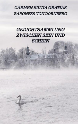 Gedichtsammlung zwischen Sein und Schein