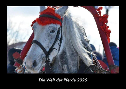 Die Welt der Pferde 2026 Fotokalender DIN A3