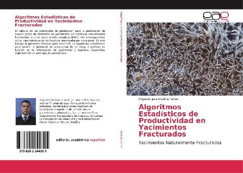 Algoritmos Estadísticos de Productividad en Yacimientos Fracturados