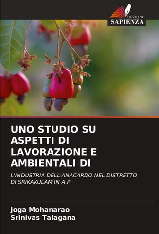 UNO STUDIO SU ASPETTI DI LAVORAZIONE E AMBIENTALI DI