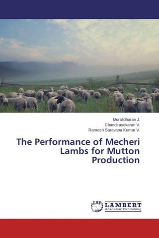 The Performance of Mecheri Lambs for Mutton Production