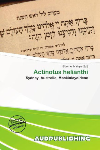 Actinotus helianthi