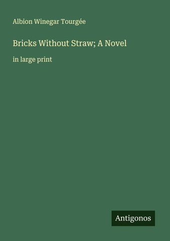 Bricks Without Straw; A Novel