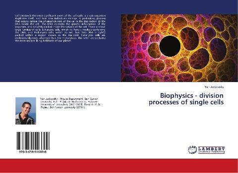 Biophysics - division processes of single cells