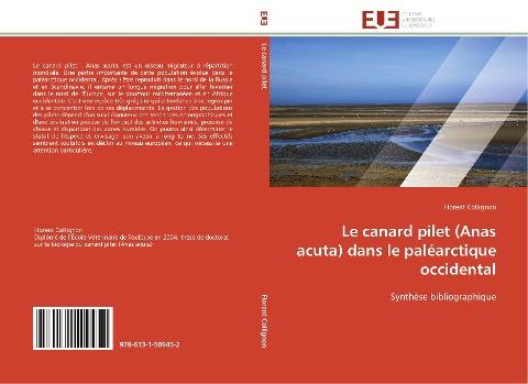 Le canard pilet (Anas acuta) dans le paléarctique occidental