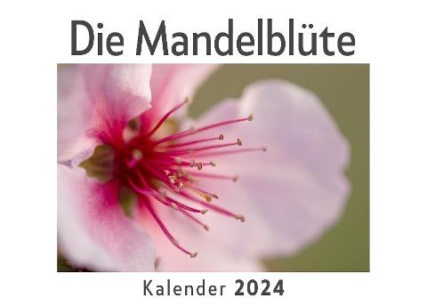 Die Mandelblüte (Wandkalender 2024, Kalender DIN A4 quer, Monatskalender im Querformat mit Kalendarium, Das perfekte Geschenk)