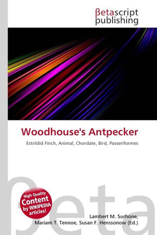 Woodhouse's Antpecker