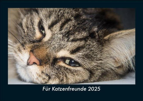 Für Katzenfreunde 2025 Fotokalender DIN A5