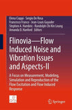 Flinovia—Flow Induced Noise and Vibration Issues and Aspects-II