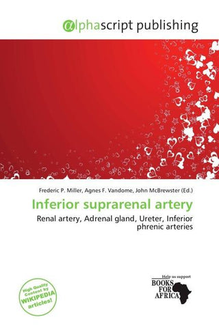 Inferior suprarenal artery