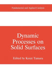 Dynamic Processes on Solid Surfaces