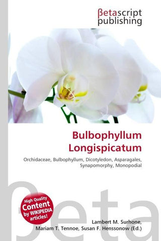 Bulbophyllum Longispicatum