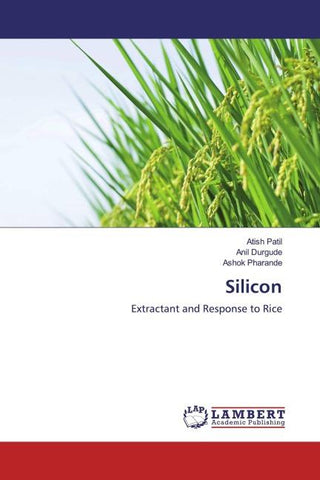 Silicon