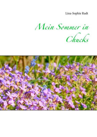 Mein Sommer in Chucks