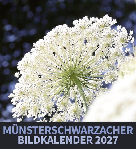 Münsterschwarzacher Bildkalender 2027