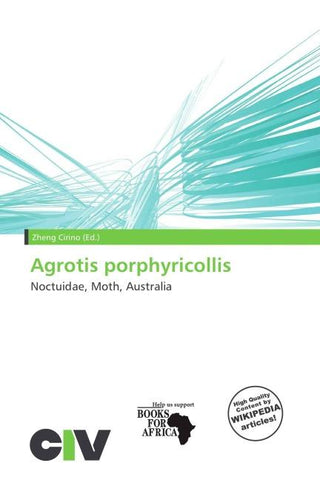 Agrotis porphyricollis