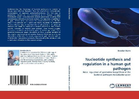 Nucleotide synthesis and regulation in a human gut pathogen