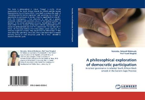 A philosophical exploration of democratic participation