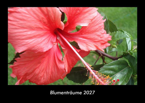Blumenträume 2027 Fotokalender DIN A3