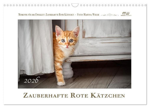 Zauberhafte rote Kätzchen (Wandkalender 2026 DIN A3 quer), CALVENDO Monatskalender