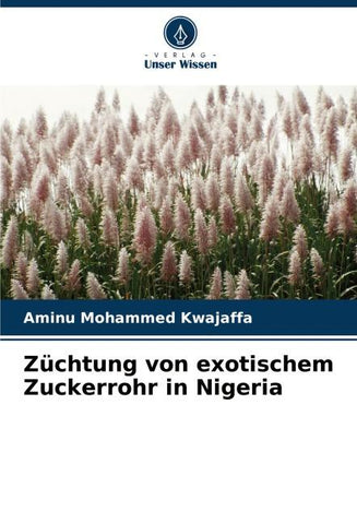 Züchtung von exotischem Zuckerrohr in Nigeria