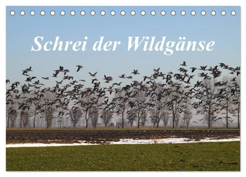 Schrei der Wildgänse (Tischkalender 2026 DIN A5 quer), CALVENDO Monatskalender