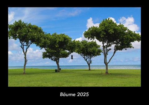 Bäume 2025 Fotokalender DIN A3