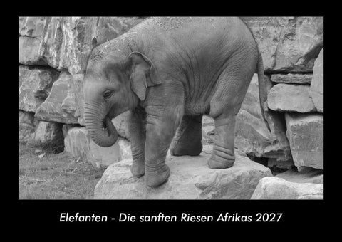 Elefanten - Die sanften Riesen Afrikas 2027 Fotokalender DIN A3