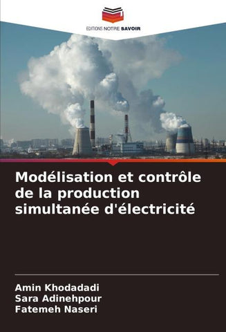 Modélisation et contrôle de la production simultanée d'électricité