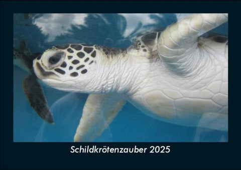 Schildkrötenzauber 2025 Fotokalender DIN A5