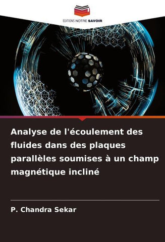 Analyse de l'écoulement des fluides dans des plaques parallèles soumises à un champ magnétique incliné