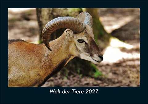 Welt der Tiere 2027 Fotokalender DIN A5