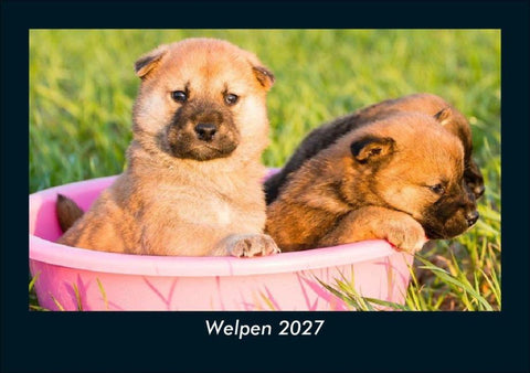 Welpen 2027 Fotokalender DIN A5