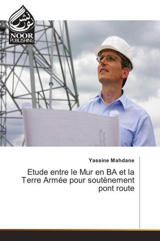 Etude entre le Mur en BA et la Terre Armée pour soutènement pont route