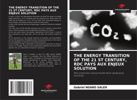 THE ENERGY TRANSITION OF THE 21 ST CENTURY, RDC PAYS AUX ENJEUX SOLUTION