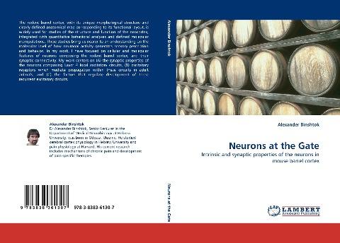 Neurons at the Gate