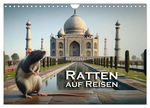 Ratten auf Reisen (Wandkalender 2026 DIN A4 quer), CALVENDO Monatskalender